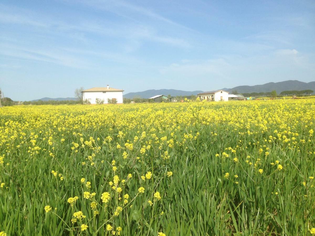 Il Grano Di Bramante Villa Marrucheto Eksteriør bilde
